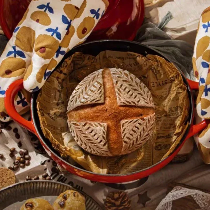 Enameled Cast Iron Bread Pan w - Dutch Oven Enamel ulasan dan harga
