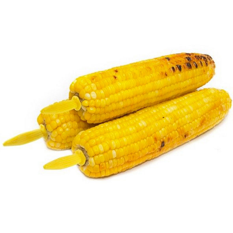 5/10PCS Stainless Steel Corn H - Home Cooking For Dogs ulasan dan harga