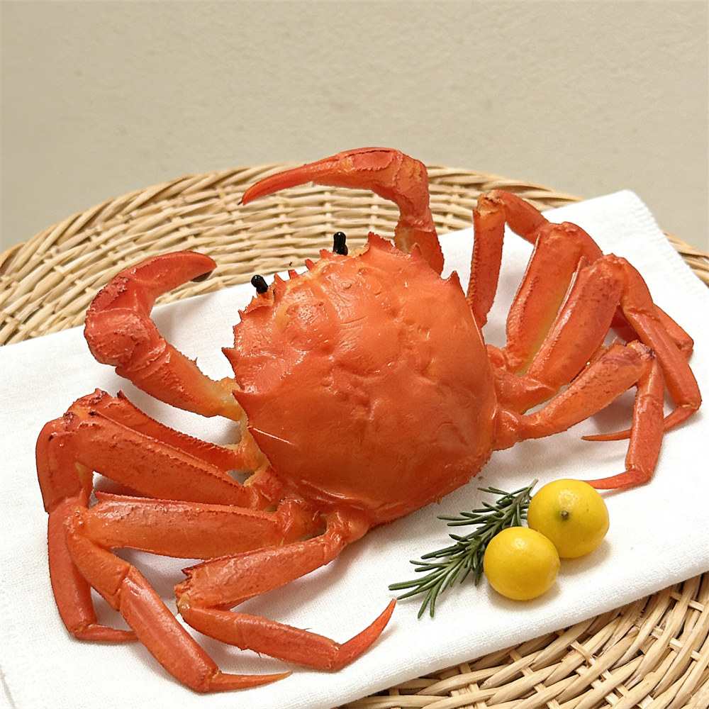15cm Plastic Red Cooked Blue C - Home Cooking Show ulasan dan harga