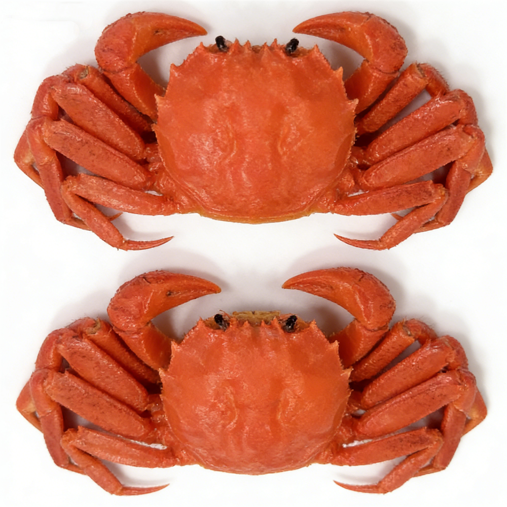 15cm Plastic Red Cooked Blue C - Home Cooking Show ulasan dan harga