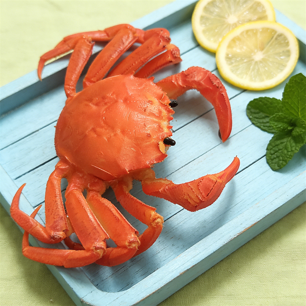 15cm Plastic Red Cooked Blue C - Home Cooking Show ulasan dan harga
